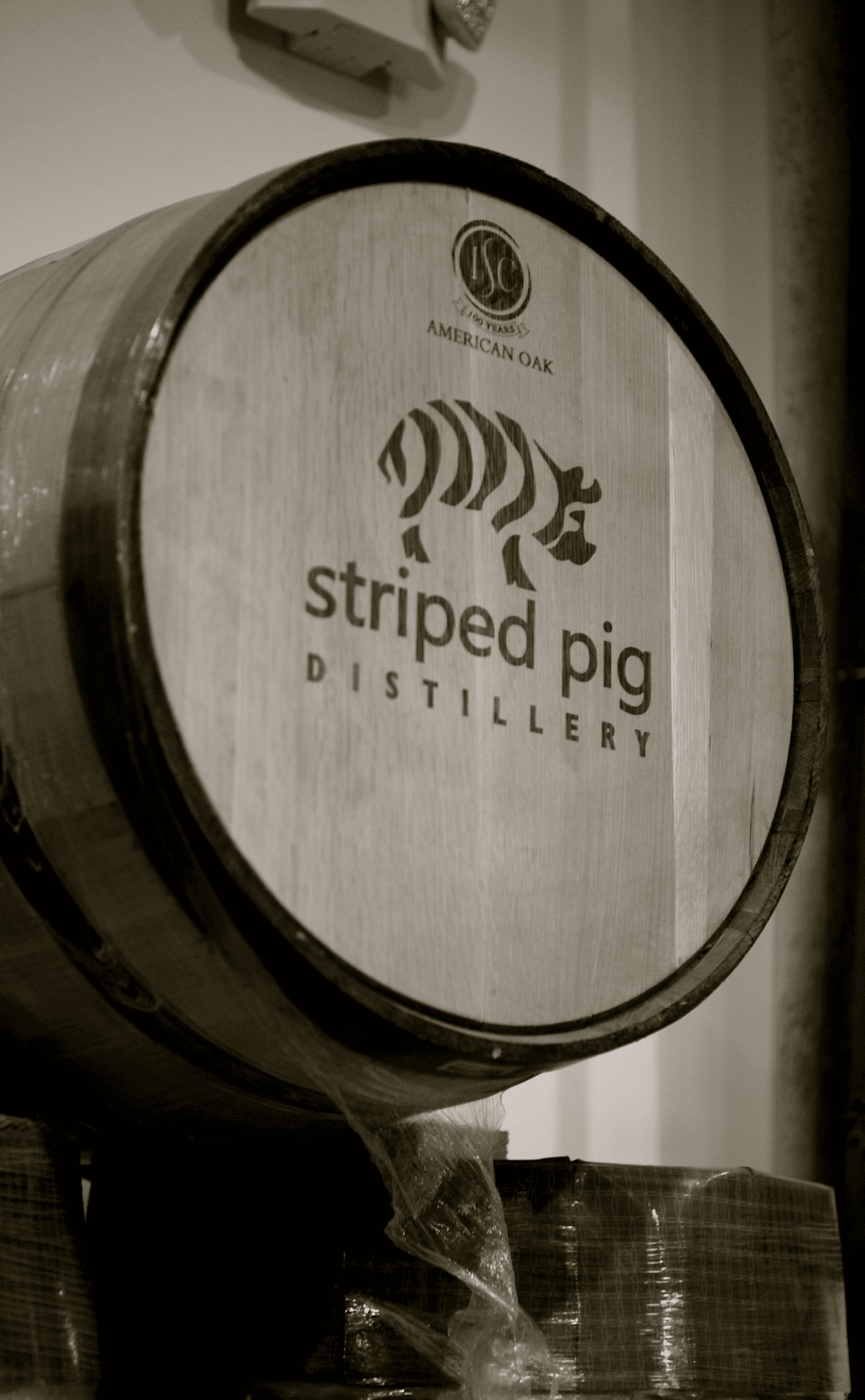 BarrelFi Genesis Vintage: Striped Pig Pixie Collection