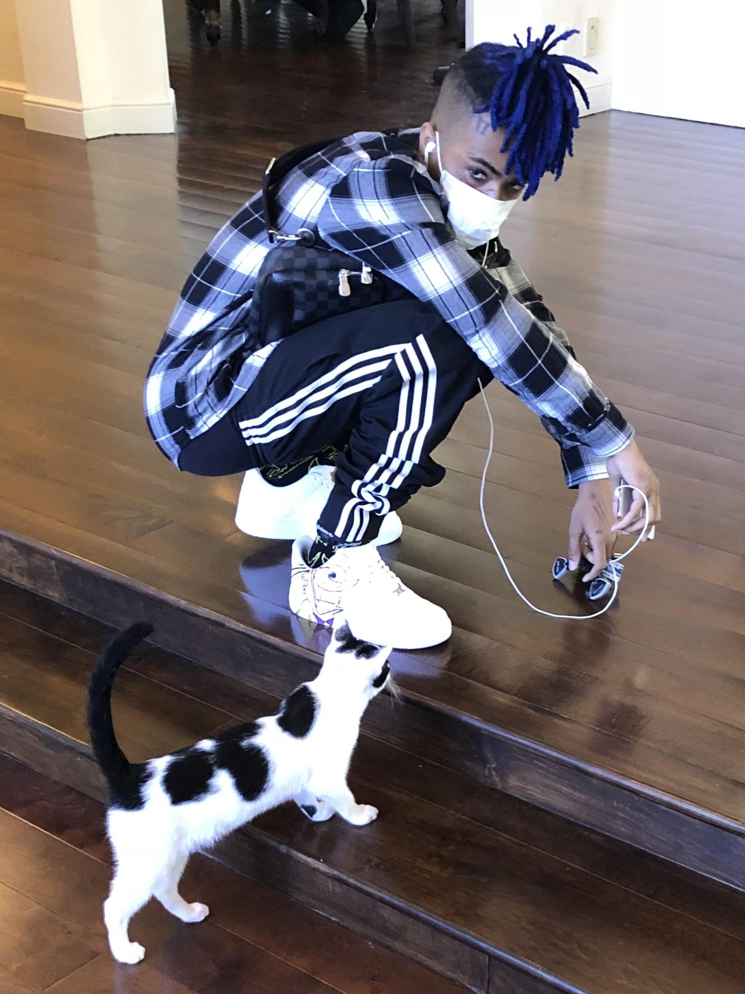 Image Result For Gallery Tentacion Com