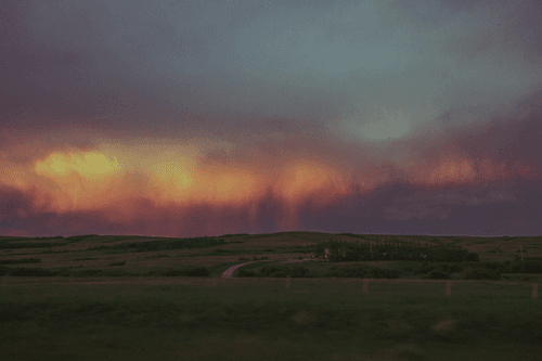 driving home