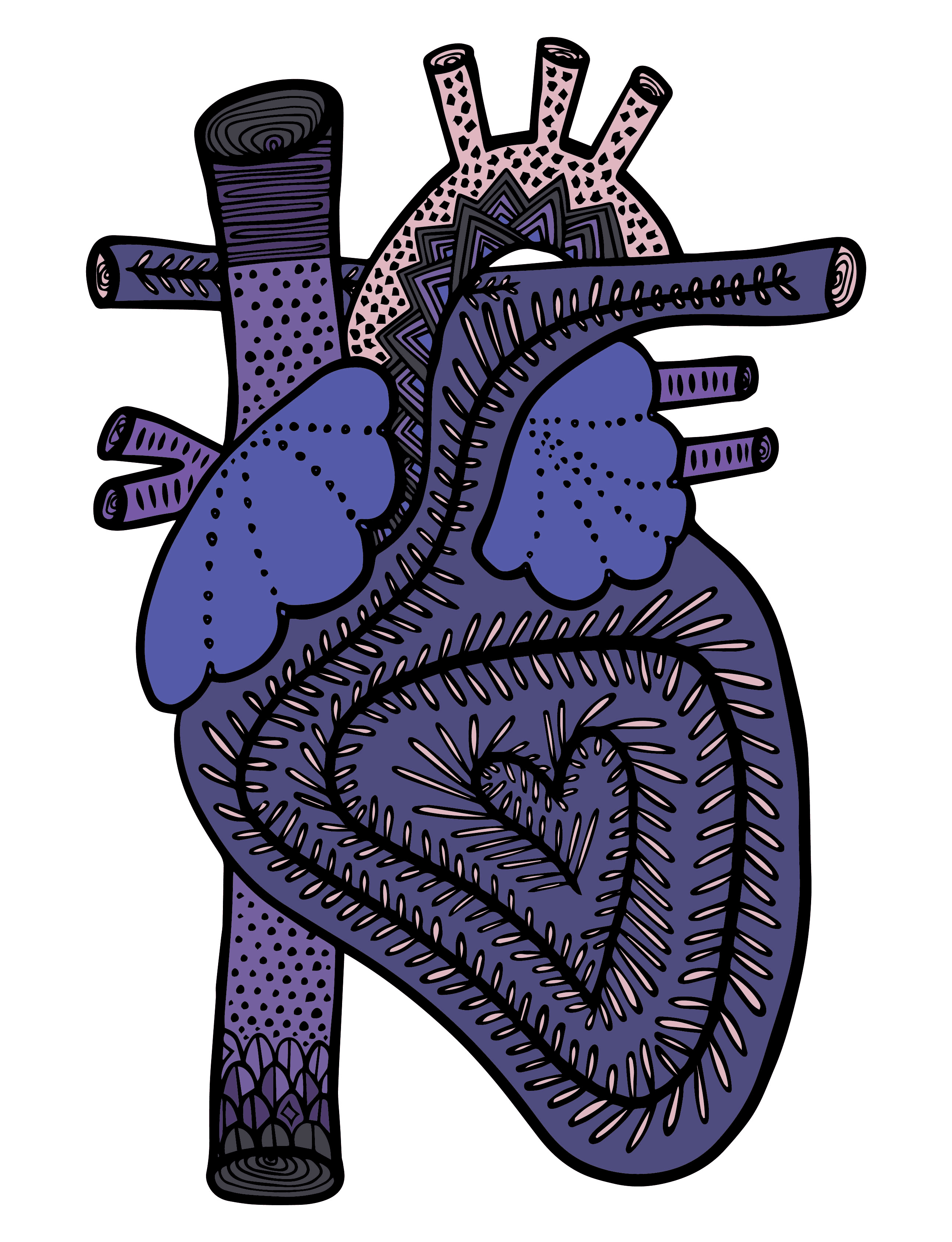 Anatomical Heart #18