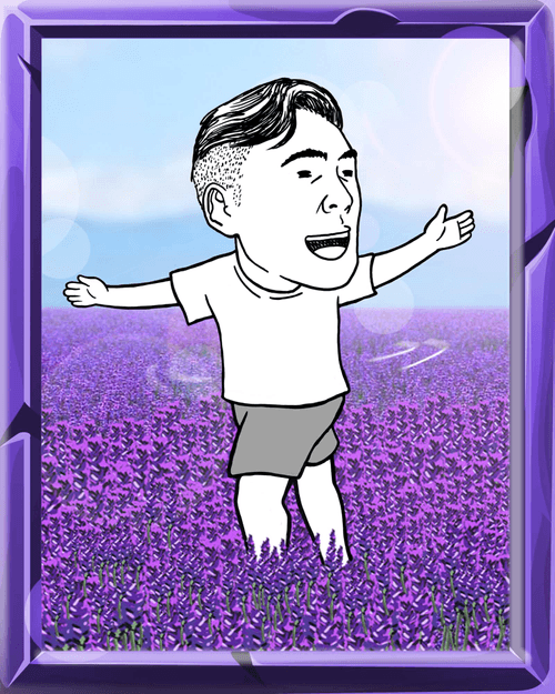 lavenderlandjook