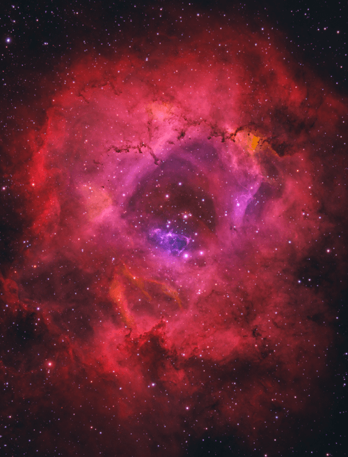 Star Flower V2 - old