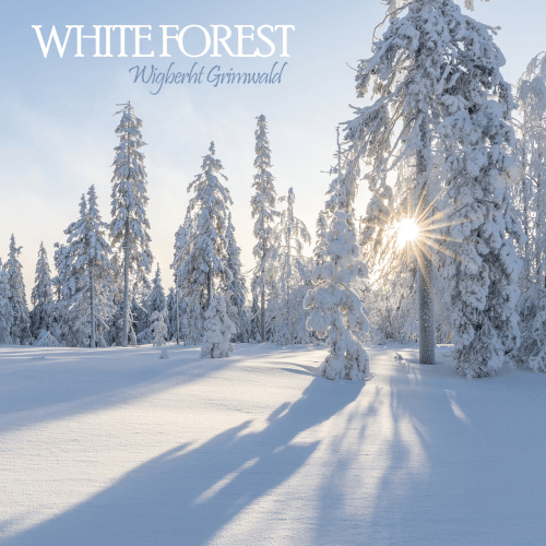 NM Project: White Forest