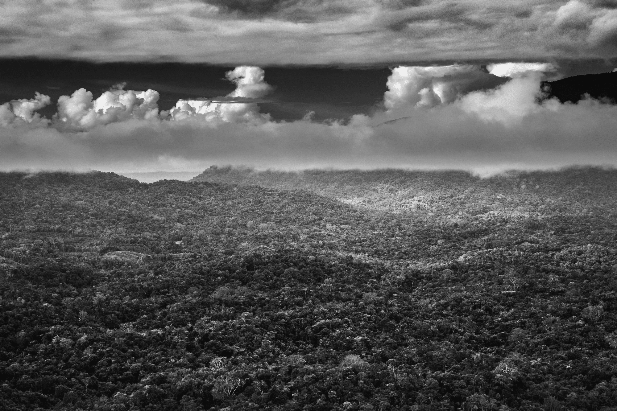 2144-amazonia-sebastiao-salgado-opensea