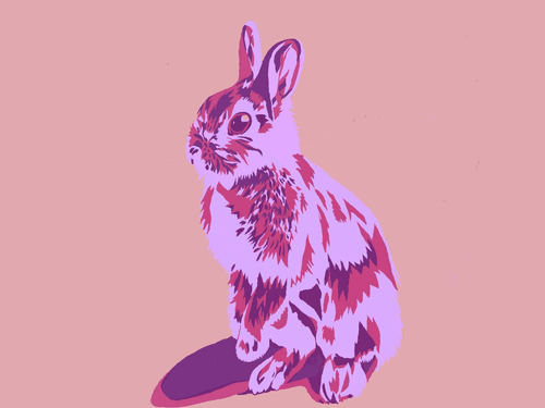 うさぎ（Rabbit）