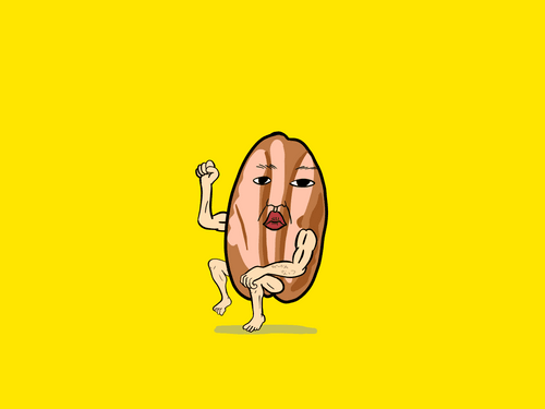 Suyaki Mix Nuts Otoko Pecan nuts