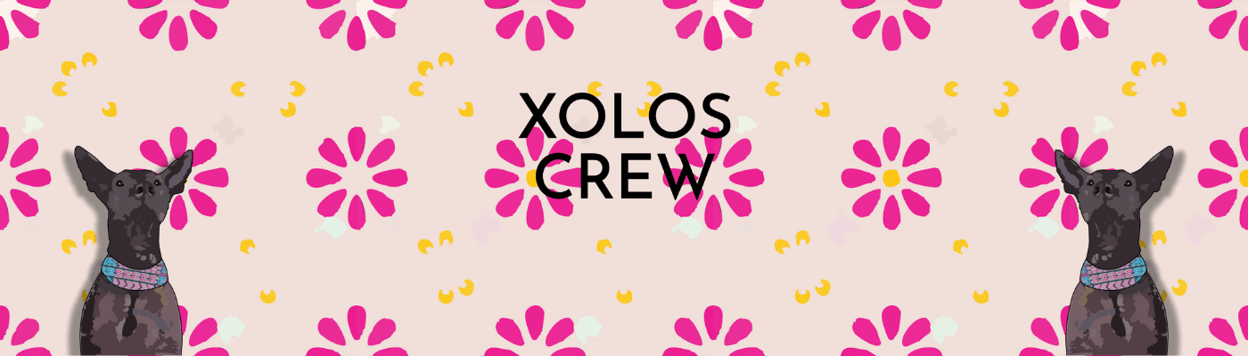 XolosCrew-Creator 横幅