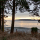 Orcas Island Landscapes
