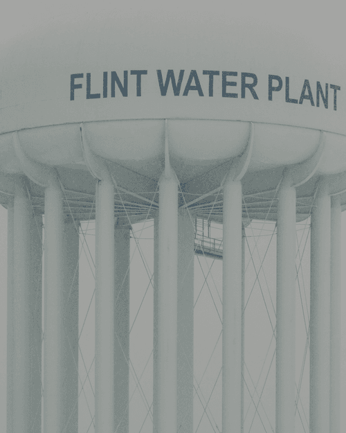 Flint River #7
