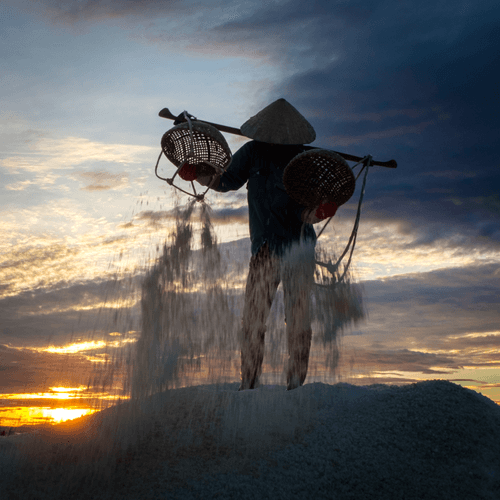 Salt Harvest