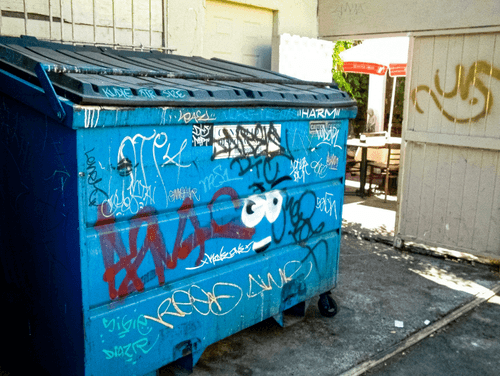 Dumpster Statements #29