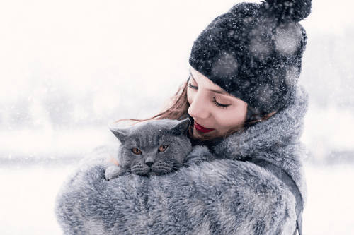 Snowy Portraits