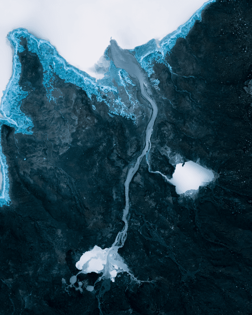 019 Milkweeds hanging low              