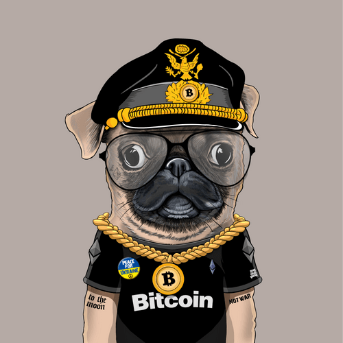 Pug #0035
