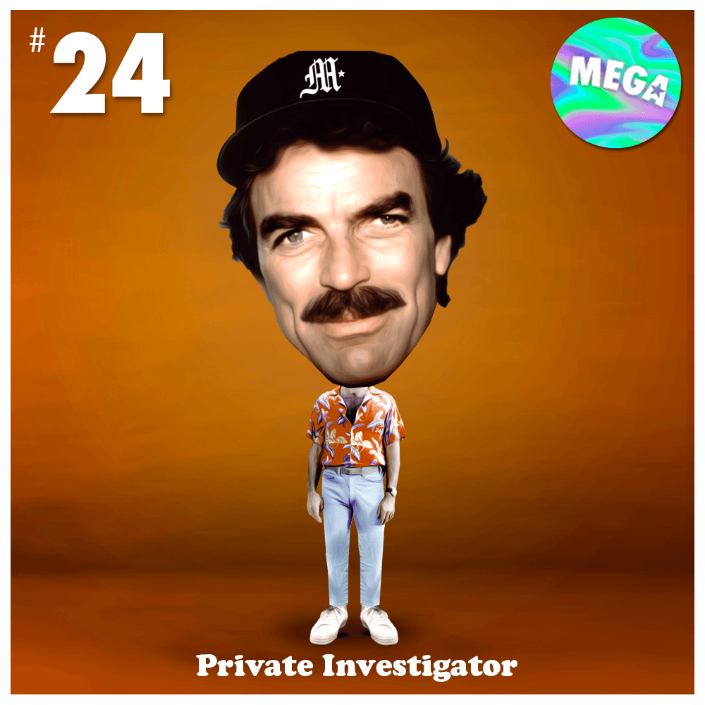 #24 - Private Investigator