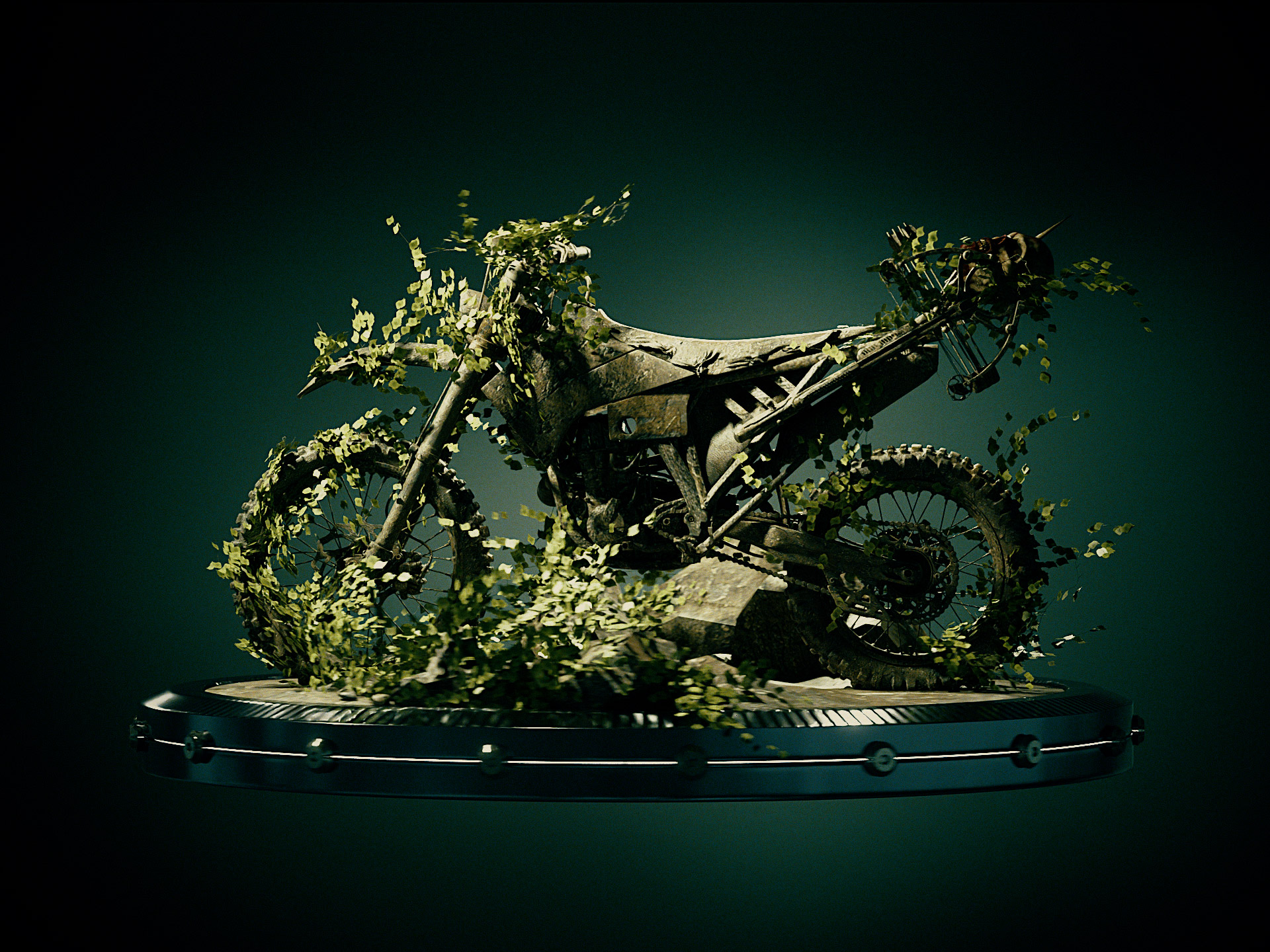 Dirt & Ivy Bike