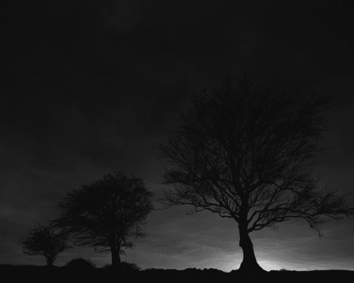 Last Light, South Lanarkshire