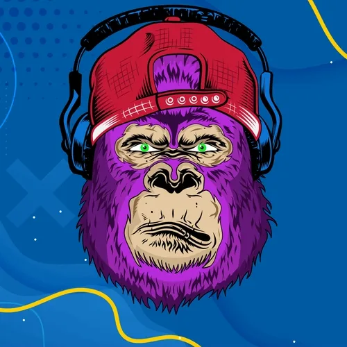 Hype Ape Collection