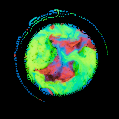 Haematopoiesis #20