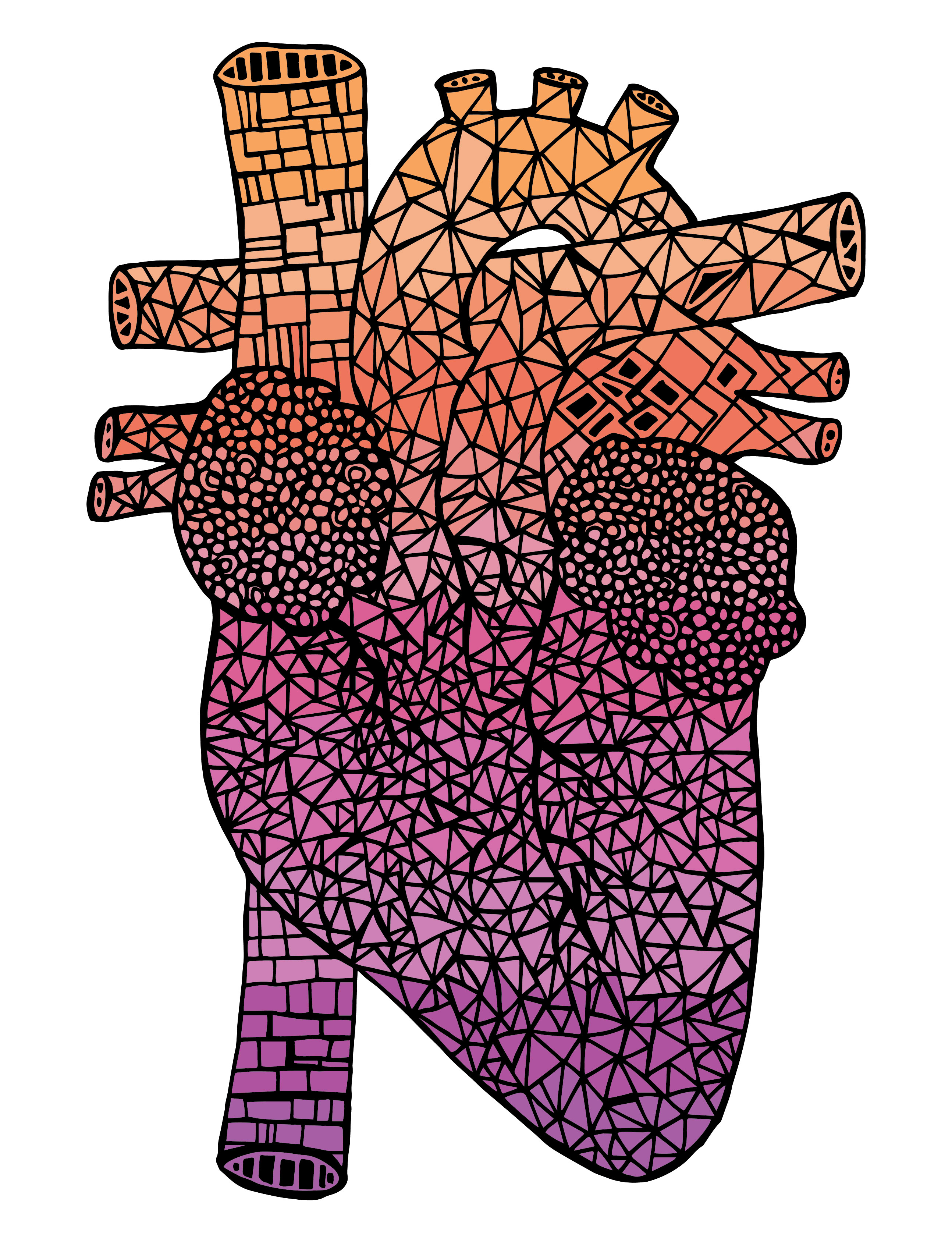 Anatomical Heart #16