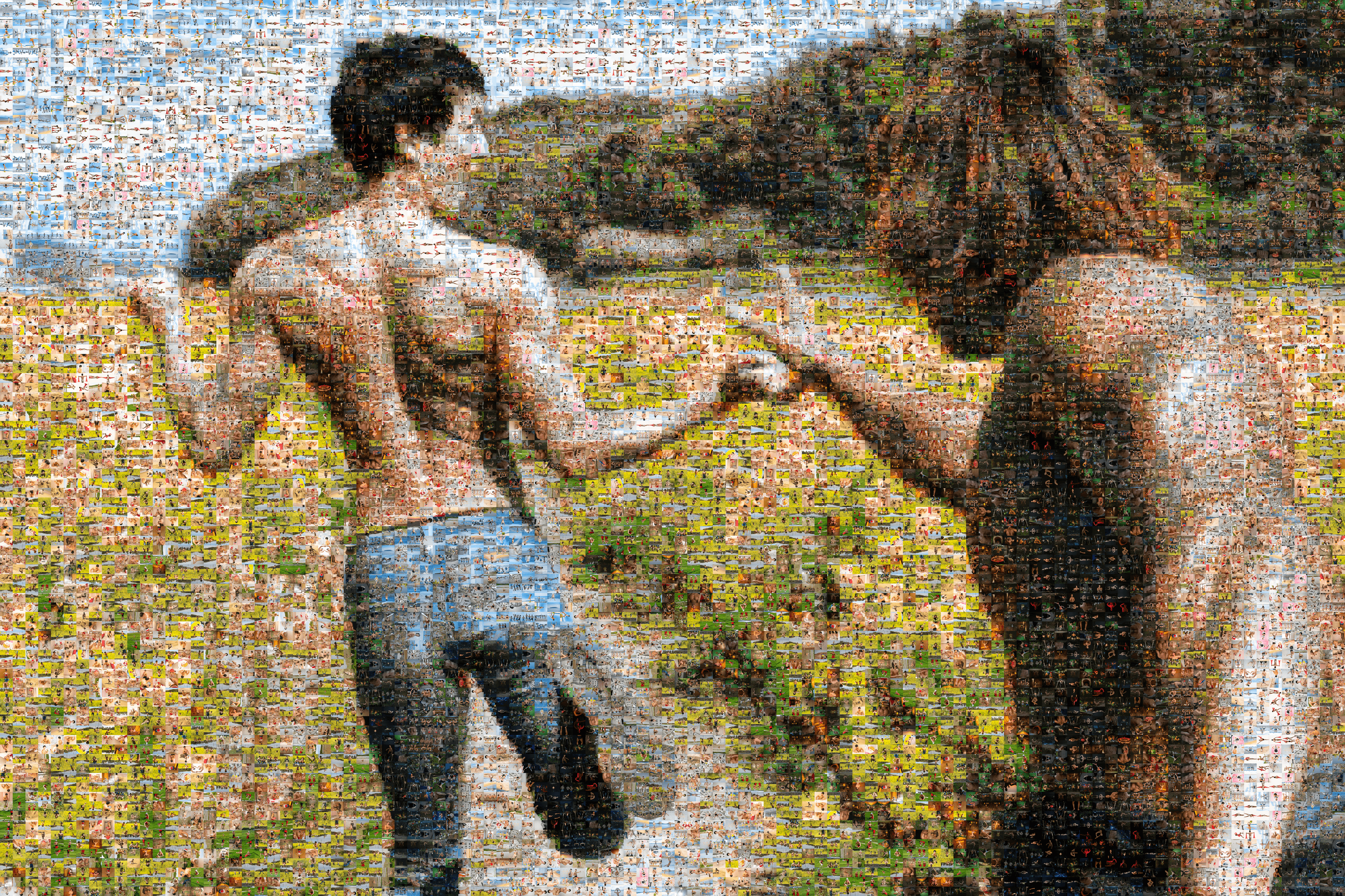 Muscle Mosaic #1 "The catcher of muscle in the canola flower"