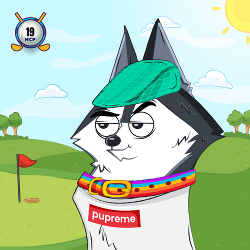 Gooofy Golfer #101
