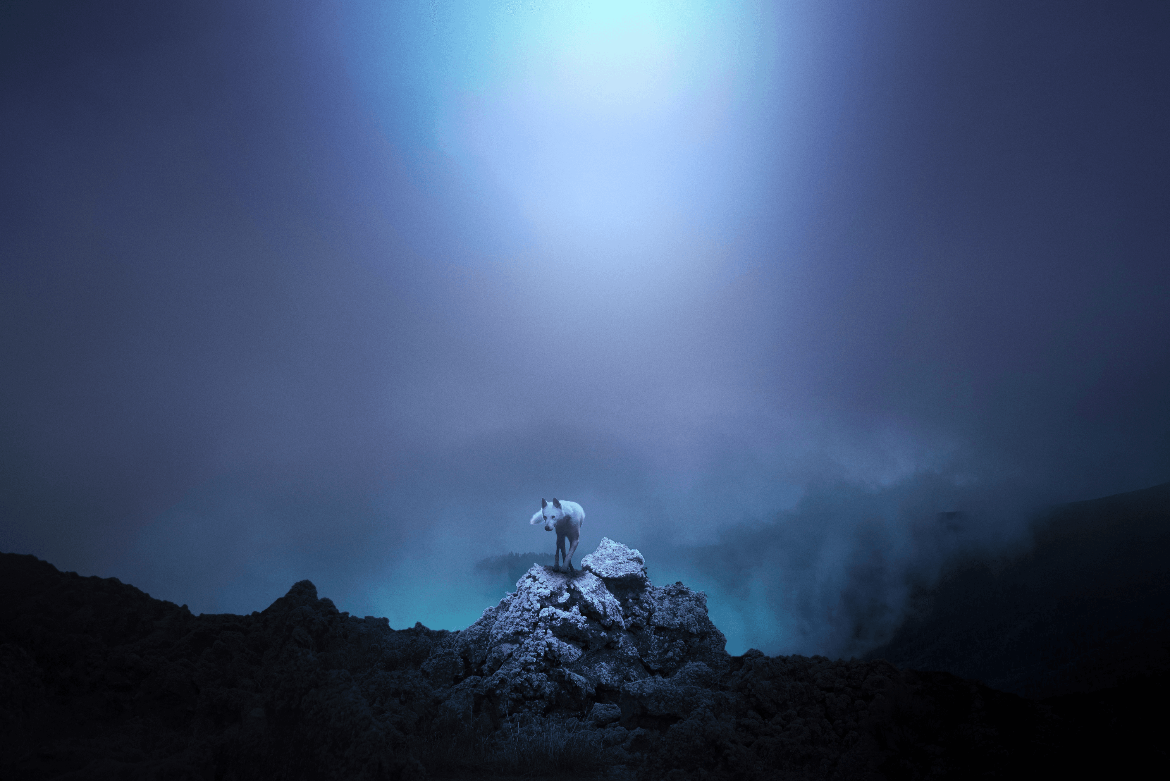 Running With Wolves