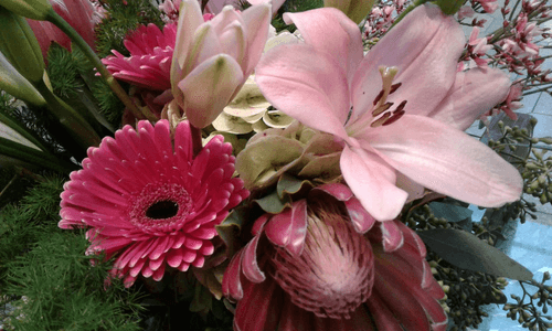 flowers @ my desk