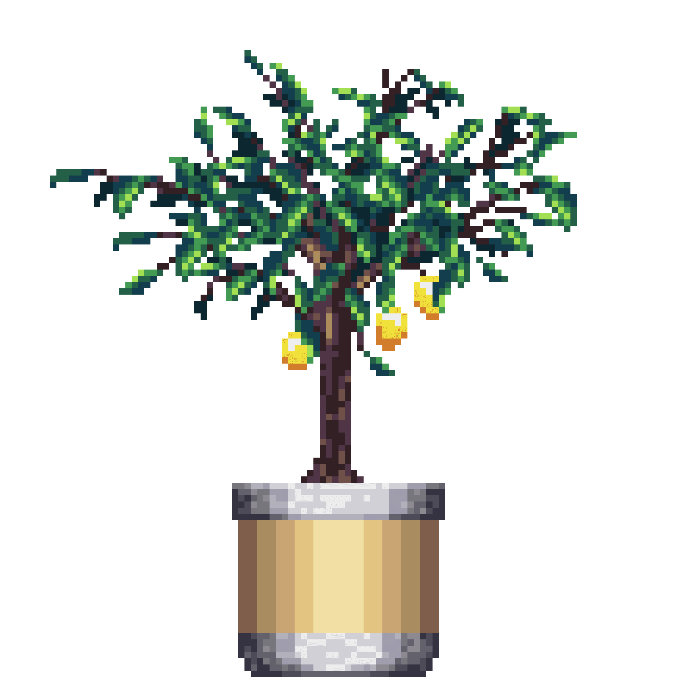 Lemon Tree in Large Dual Tone pot