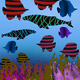ColorfulAnimals