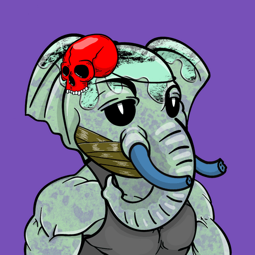 Gym Rat Elephant #581