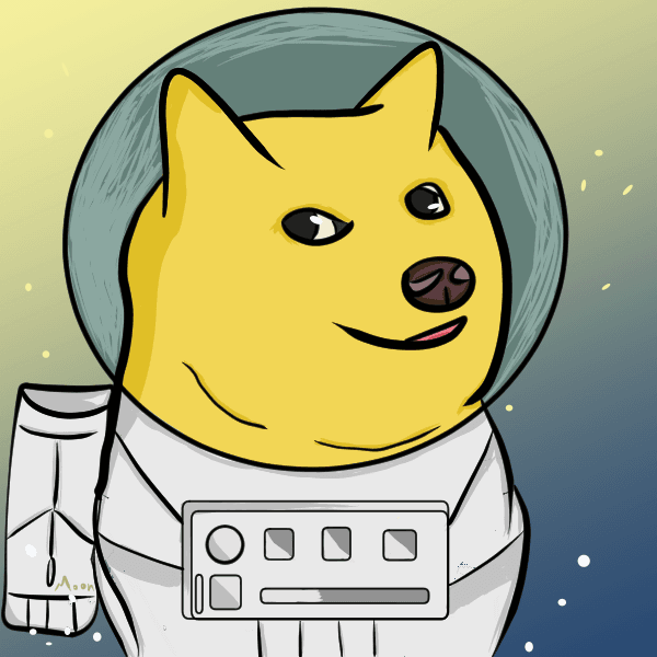 doge space navigator-john
