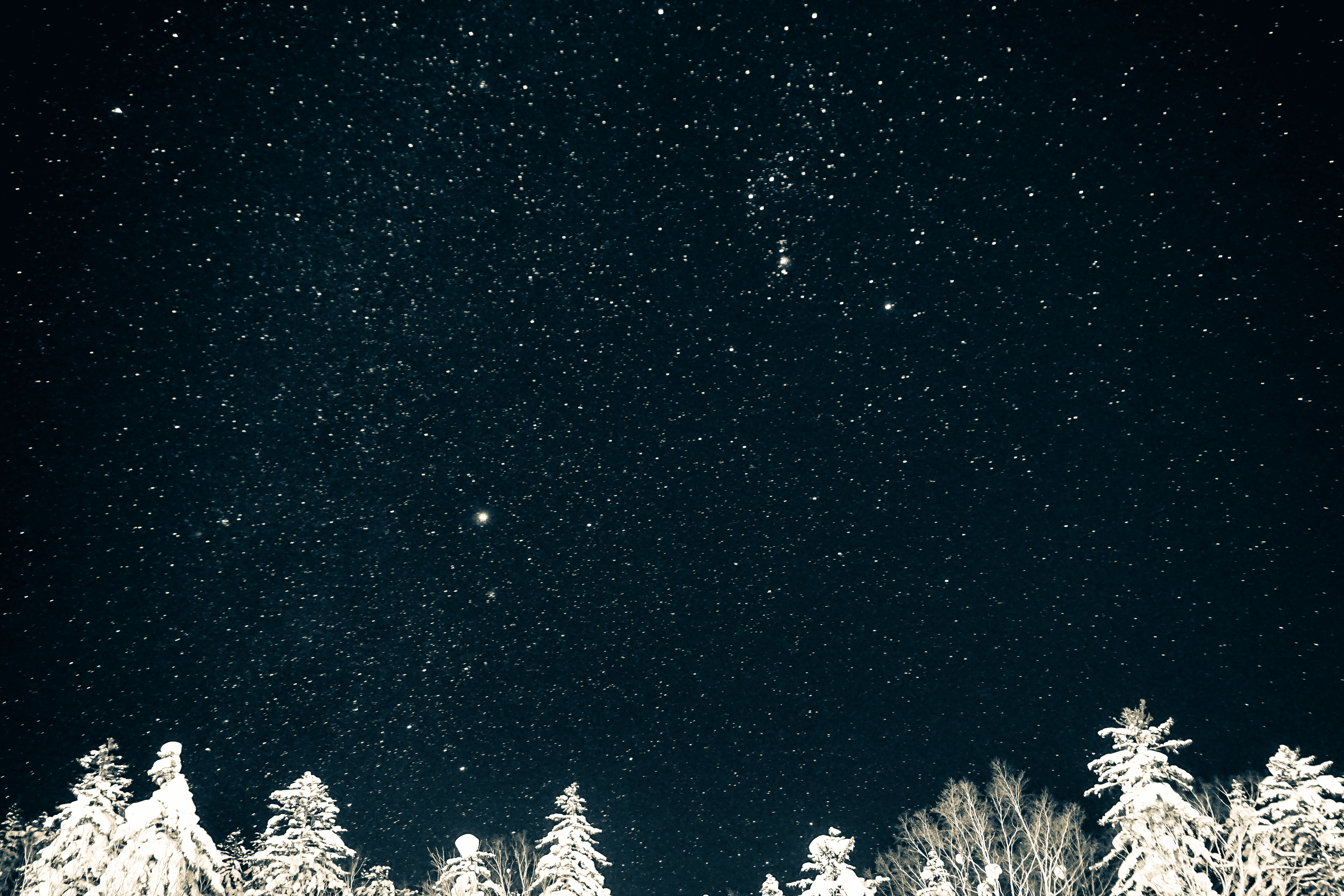 A Starry Heaven