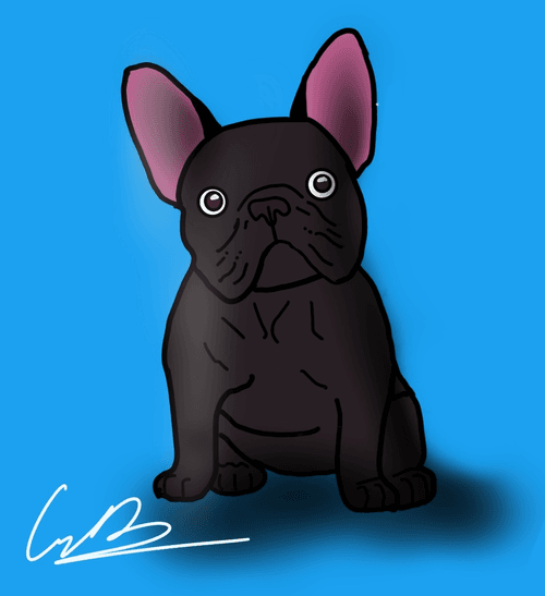 Cam D Editions