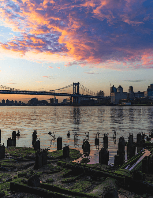 Bridging the gap to pave a new way