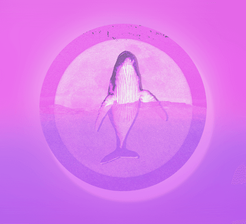 [Round #19] Whale in the moonlight.