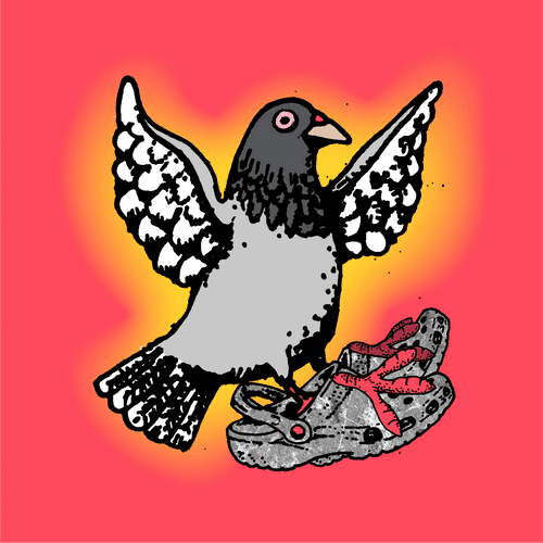 NrG PIGEONZ x CROCS