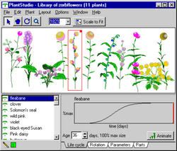 Library of Zorbflowers collection image