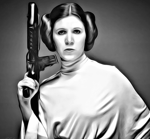 Princess Leia Special Icon #05