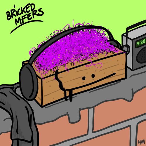 Bricked Mfer 1702