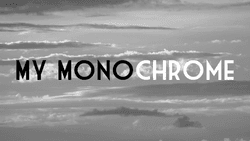 MY Monochrome collection image