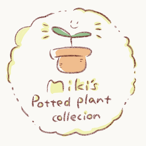 Miki's potted plant collection