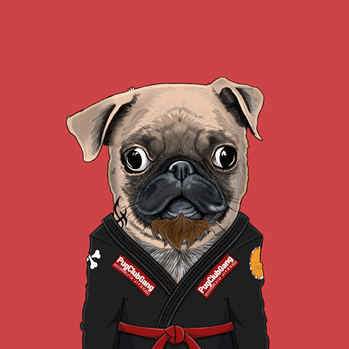 Pug #0161