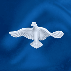 Jewelry: Dove of peace collection image