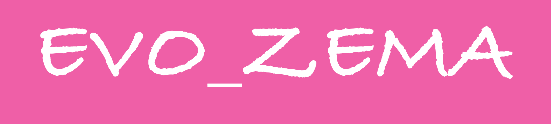 EVO_ZEMA バナー