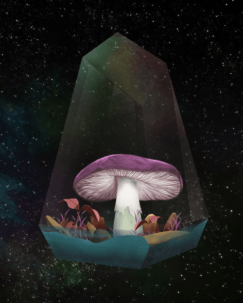 Mushroom #1092