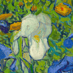 Van Gogh's Flowers collection image