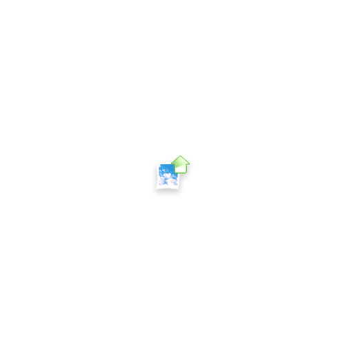 Collection Logo