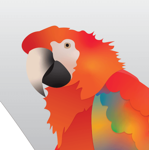 Vector Birds