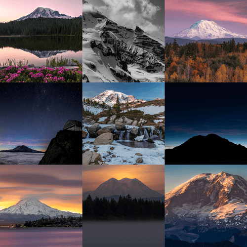 Mount Rainier Collection